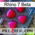 Rhino 7 Beta 13